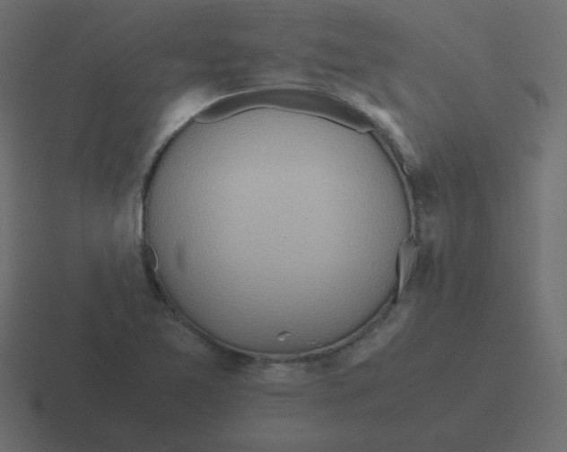 X0000116461365200912291959