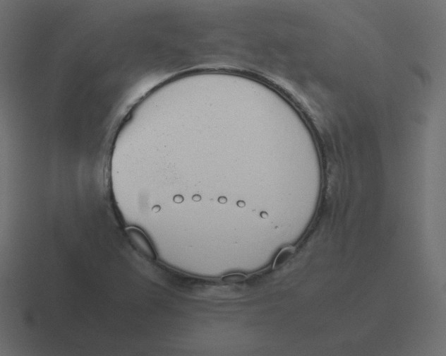 X0000116461367200912291959