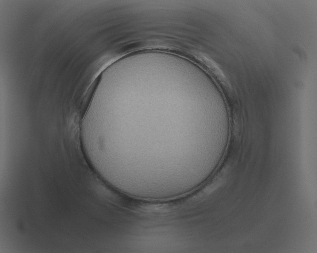 X0000116461369200912291959