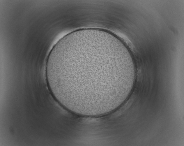 X0000116461374200912291959