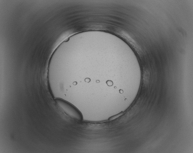 X0000116461378200912291959