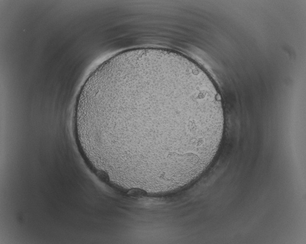 X0000116461379200912291959