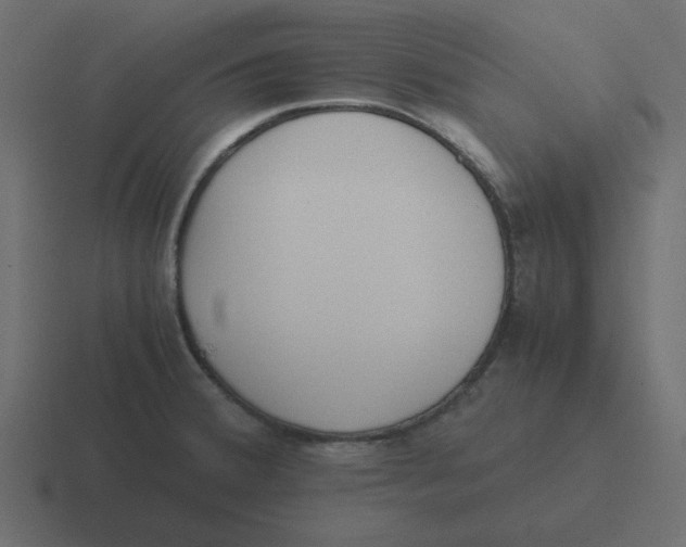 X0000116461380200912291959