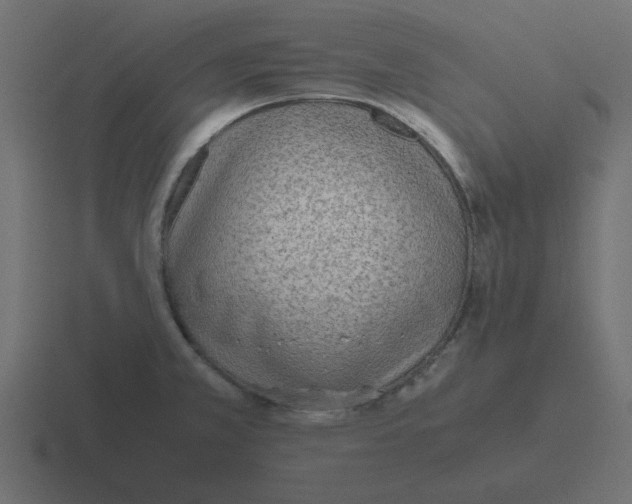 X0000116461381200912291959