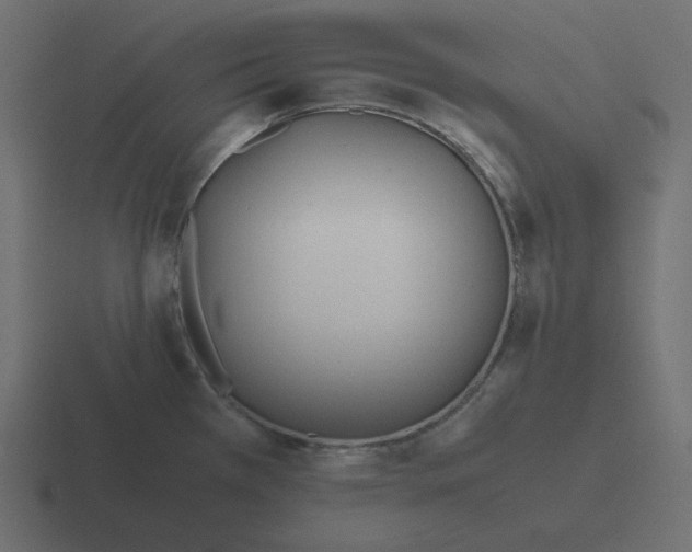 X0000116461385200912291959
