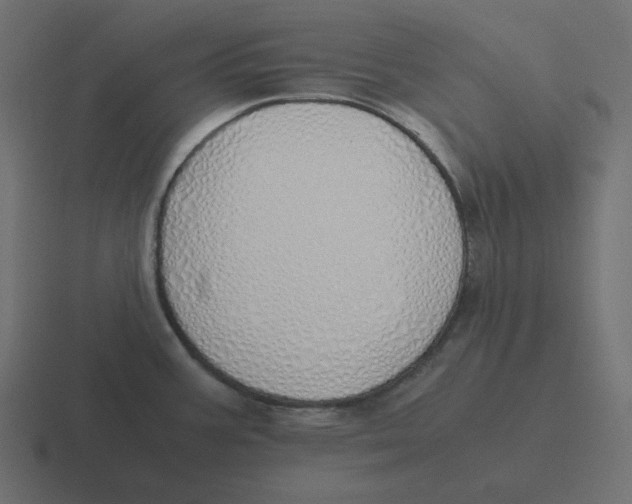 X0000116461387200912291959