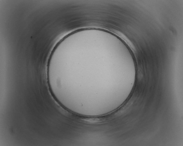 X0000116461388200912291959
