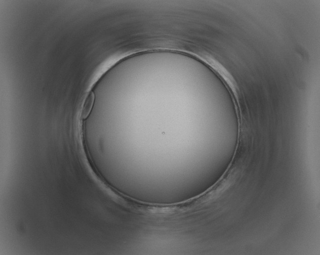 X0000116461389200912291959