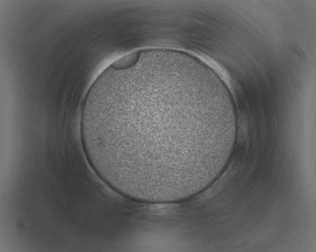 X0000116461390200912291959