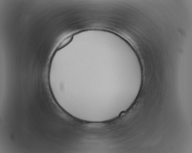 X0000116461392200912291959