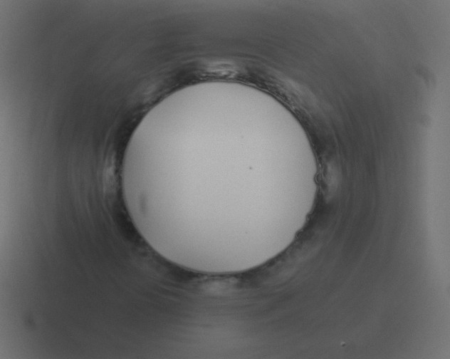 X0000116461394200912291958