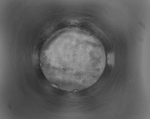 X0000116461395200912291958