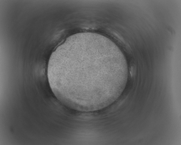 X0000116461396200912291958