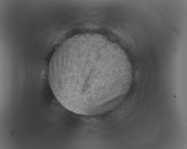 X0000116461397200912291958