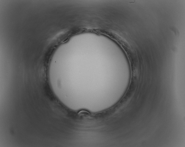 X0000116461398200912291958