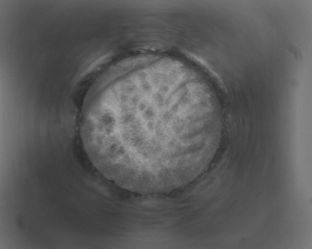 X0000116461399200912291958