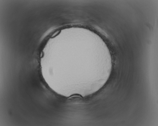 X0000116461400200912291958