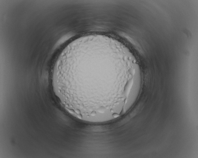 X0000116461402200912291958