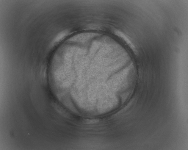 X0000116461403200912291958