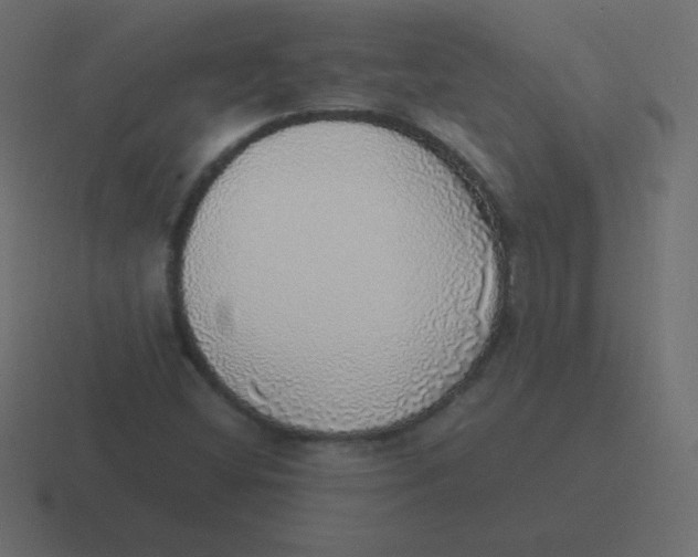 X0000116461404200912291958