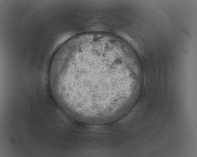 X0000116461405200912291958