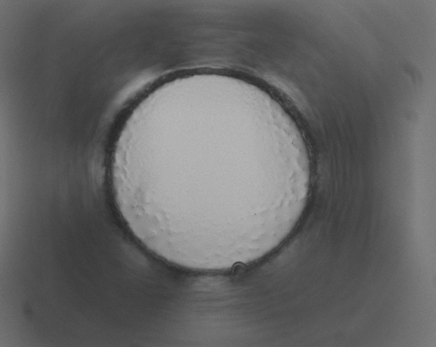 X0000116461406200912291958