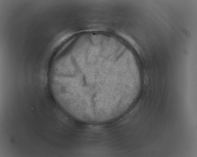 X0000116461407200912291958