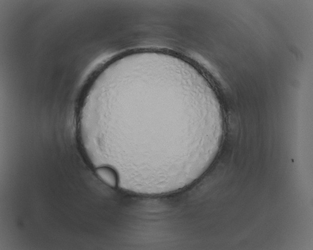 X0000116461408200912291958