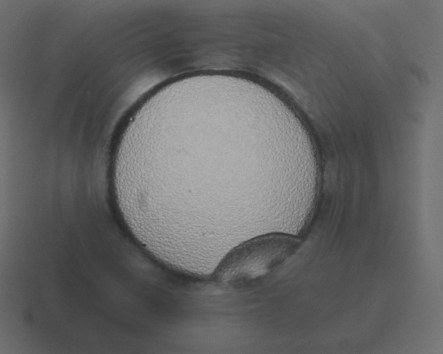 X0000116461410200912291958