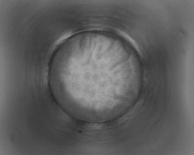 X0000116461411200912291958