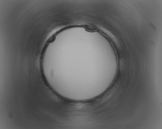 X0000116461412200912291958