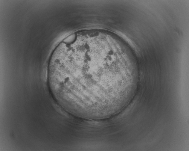 X0000116461413200912291958