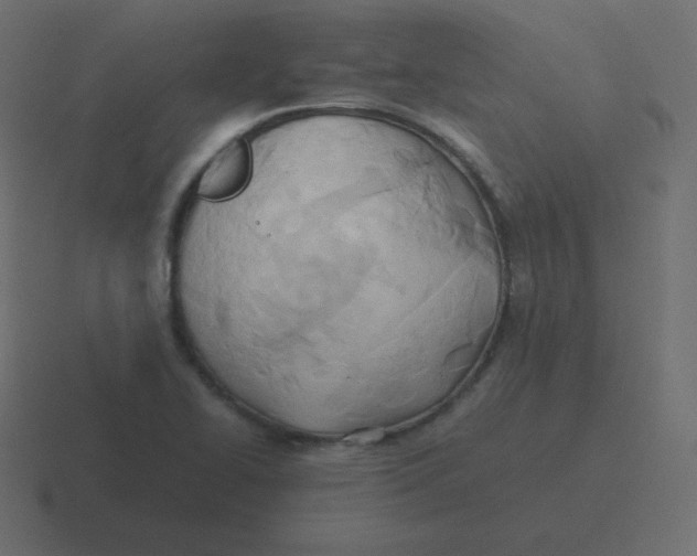 X0000116461414200912291958