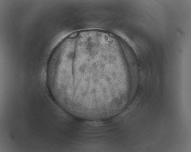 X0000116461415200912291958