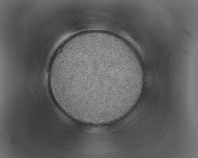 X0000116461416200912291958