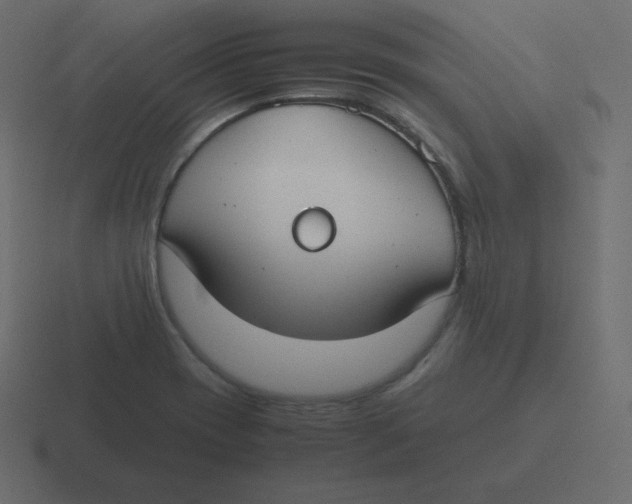 X0000116461417200912291958