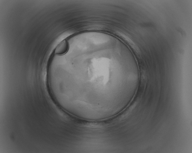 X0000116461418200912291958