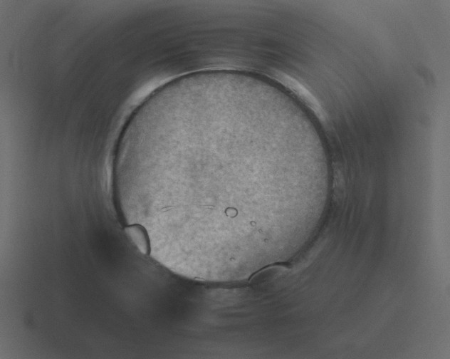 X0000116461419200912291958