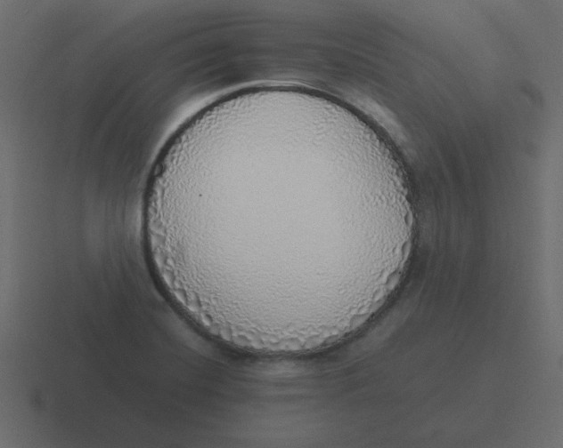 X0000116461420200912291958