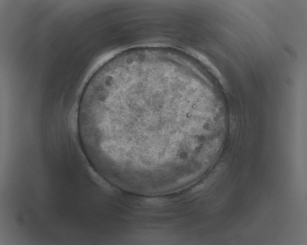 X0000116461421200912291958