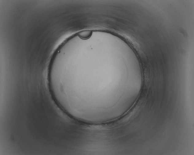 X0000116461422200912291958