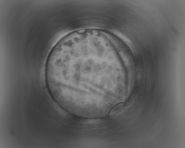 X0000116461423200912291958