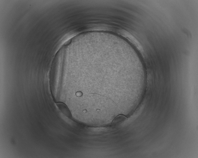 X0000116461425200912291958