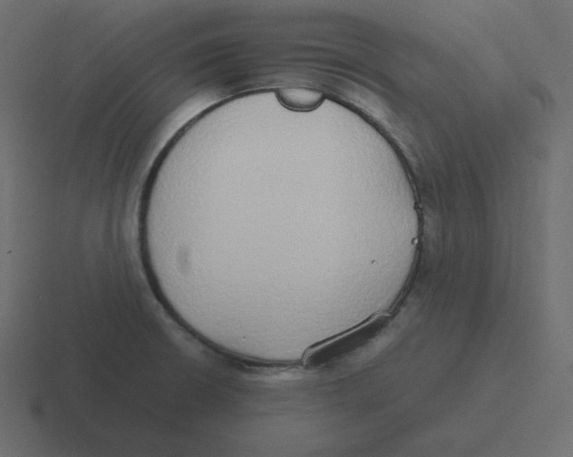 X0000116461426200912291958