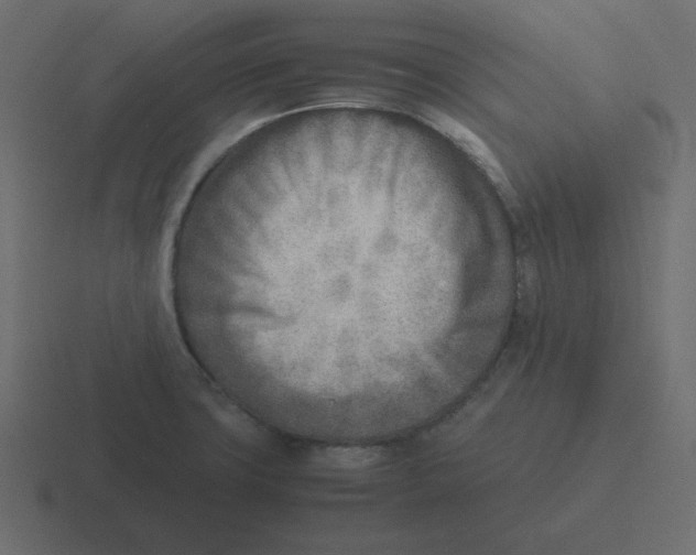 X0000116461427200912291958