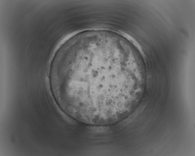 X0000116461429200912291958