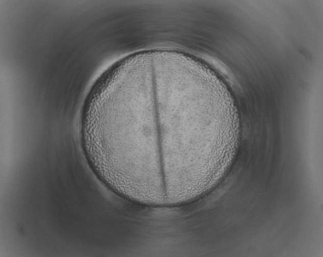 X0000116461430200912291958