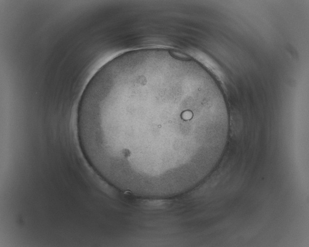 X0000116461431200912291958