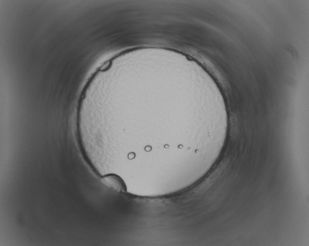 X0000116461432200912291958