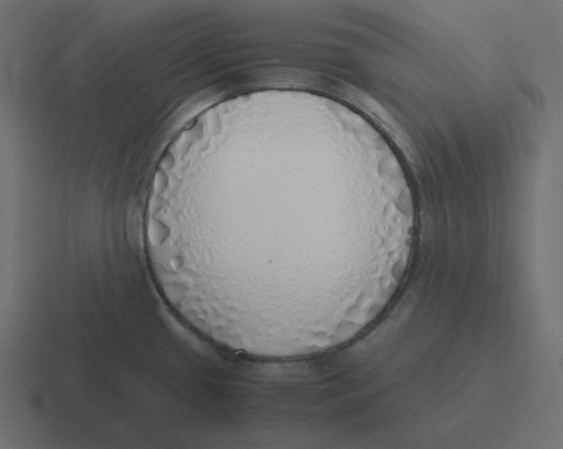 X0000116461433200912291958